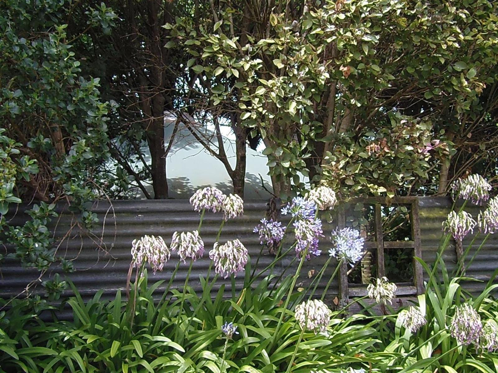 拉格伦 Nikau Sanctuary酒店 外观 照片
