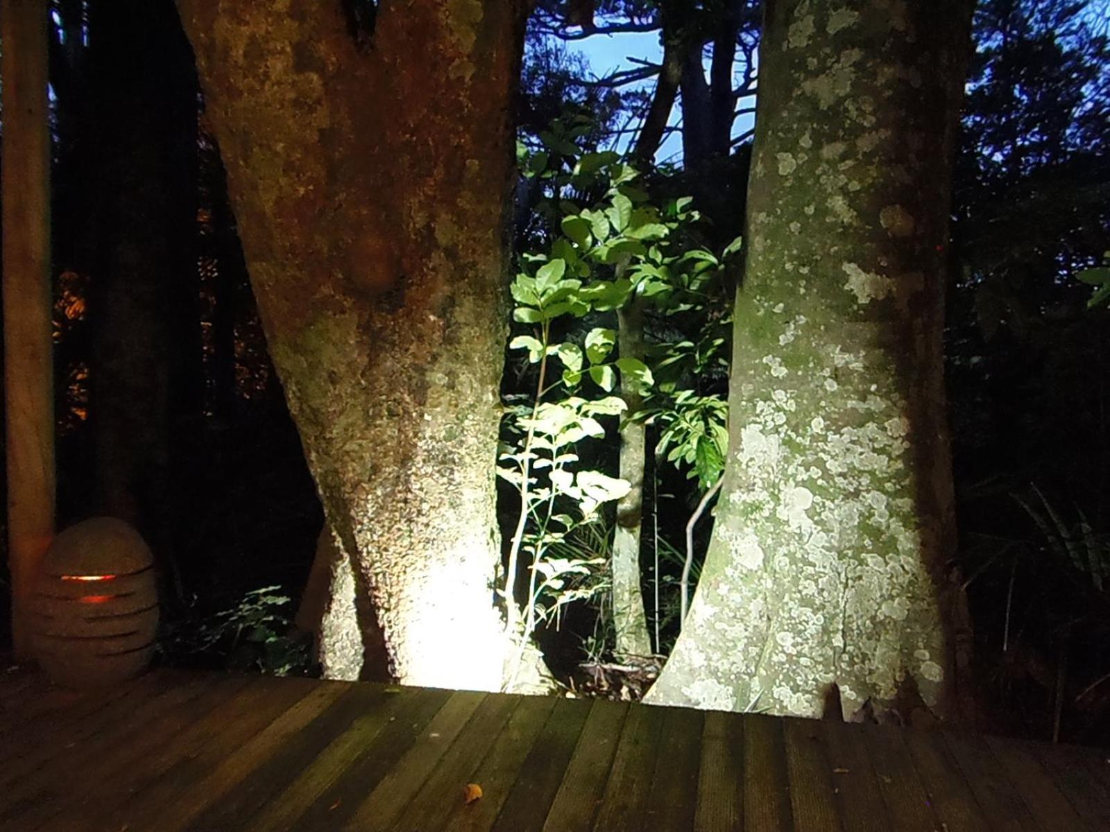 拉格伦 Nikau Sanctuary酒店 外观 照片
